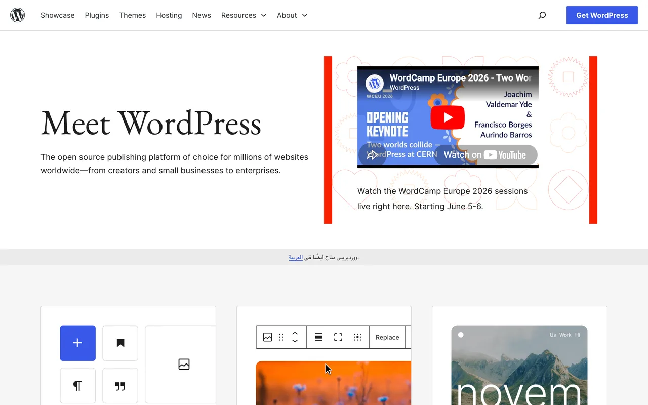 WordPress preview